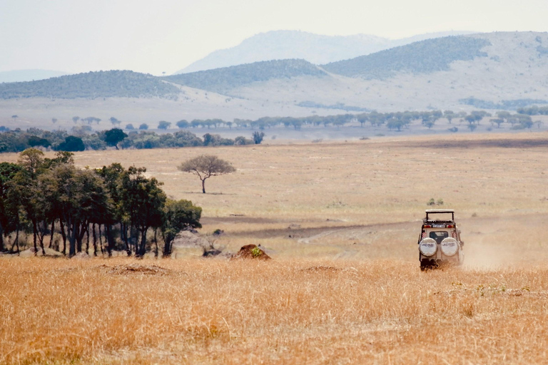 Excursion d&#039;une journée au cratère du Ngorongoro