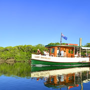 Port Douglas: River Cruise, Crocodile Spotting, Drink/Snack