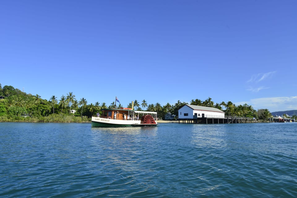 Port Douglas: River Cruise, Crocodile Spotting, Drink/ Snack | GetYourGuide