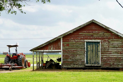 La Nouvelle-Orléans : Visite guidée de la Plantation Saint-Joseph