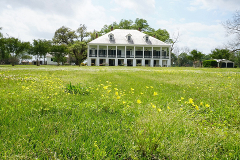 La Nouvelle-Orléans : Visite guidée de la Plantation Saint-Joseph