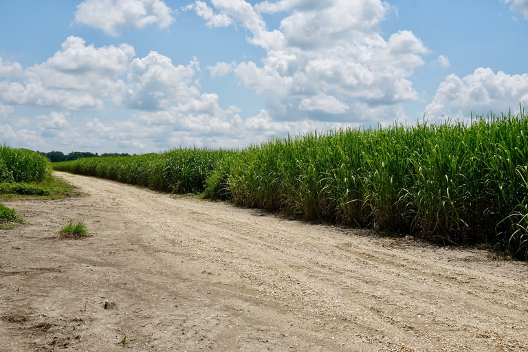 La Nouvelle-Orléans : Visite guidée de la Plantation Saint-Joseph