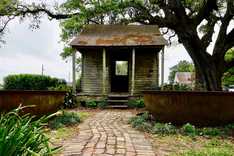 New Orleans: Führung durch die St. Joseph Plantation