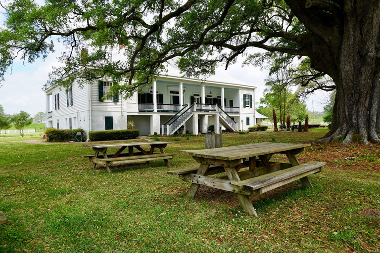 Nova Orleans: excursão guiada à plantação de St. Joseph