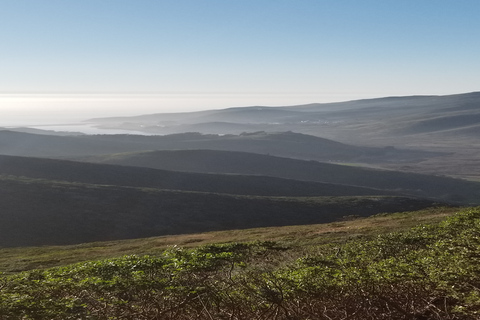 San Francisco: Muir Woods, Sausalito y Ruta del Vino de Sonoma