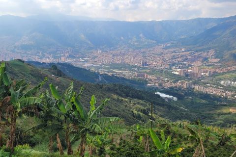 Medellin: Coffee Farm Tour & Spa con Glamping notturno