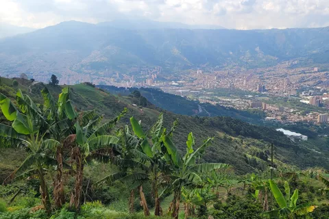 Medellin: Coffee Farm Tour & Spa with Overnight Glamping
