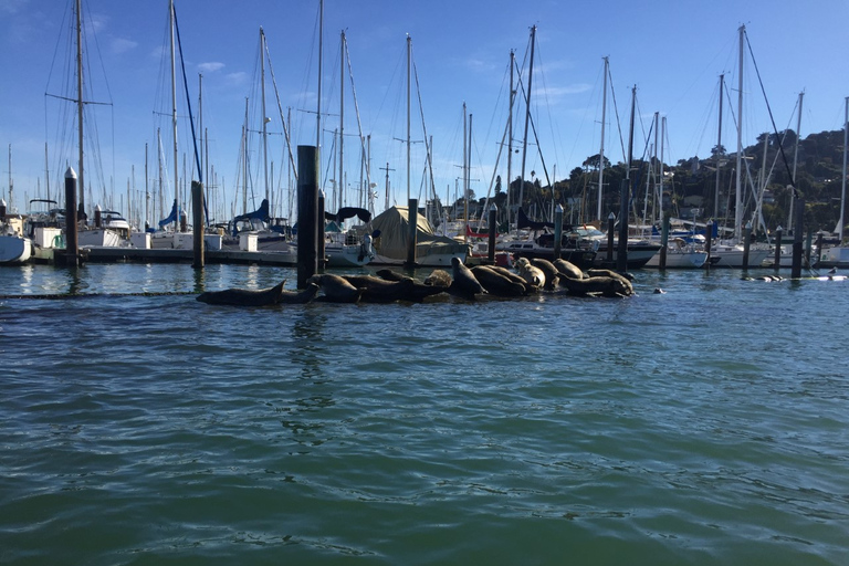 San Francisco: Muir Woods, Sausalito, and Sonoma Wine Tour