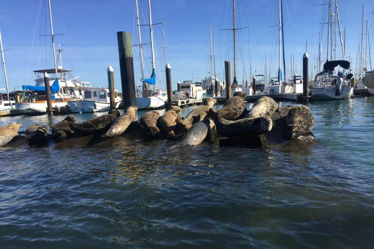 San Francisco: Muir Woods, Sausalito y Ruta del Vino de Sonoma