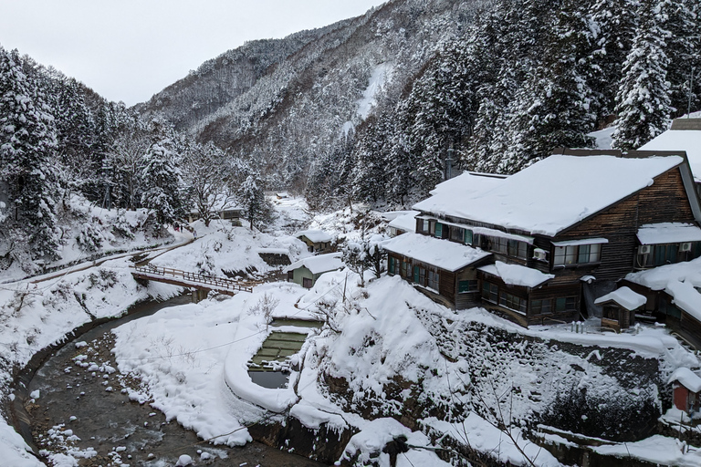 Au départ de Tokyo : Visite d&#039;un jour du singe des neiges avec déjeuner de Sukiyaki de bœuf