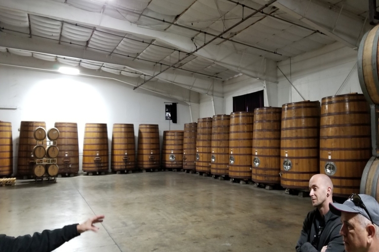 Condado de Sonoma: tour vinícola de medio día
