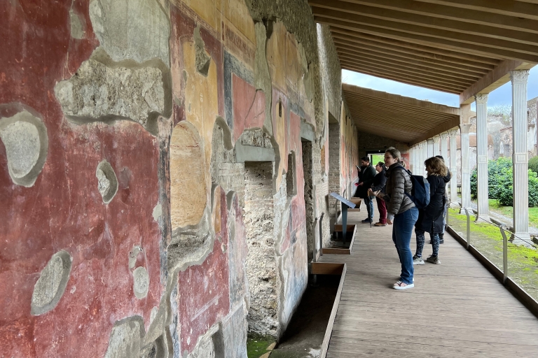 Pompeii: rondleiding met kleine groep met voorrangsticketTour met kleine groepen in het Engels