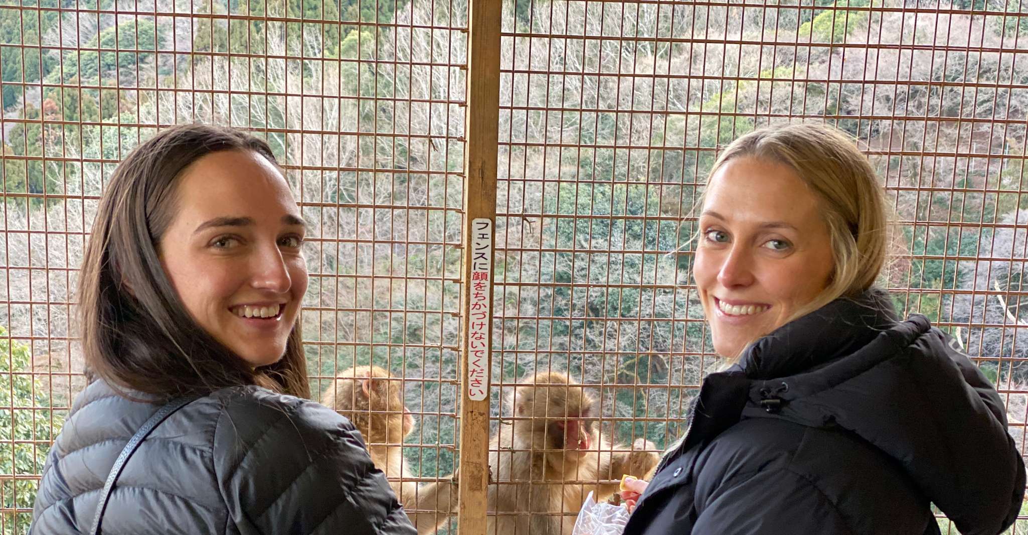 Kyoto, Pomeriggio Bamboo Forest e Monkey Park Bike Tour - Hizvo