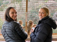 Kyoto, Pomeriggio Bamboo Forest e Monkey Park Bike Tour - Hizvo
