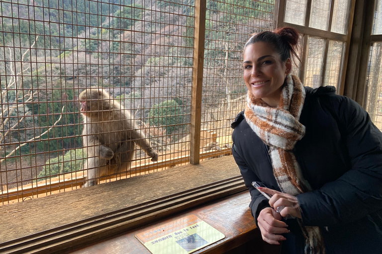 Kyoto : Visite à vélo de la forêt de bambous et du parc des singes dans l'après-midi