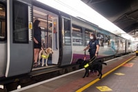 Manchester, Transportation to/from Manchester Airport - Housity