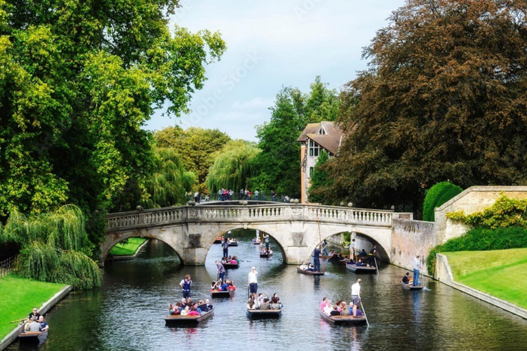 Cambridge Self Rental Punting