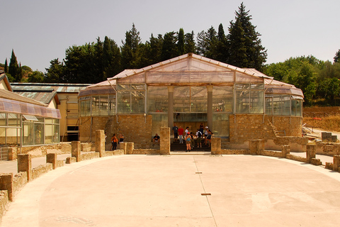 Piazza Armerina: Villa Romana del Casale Guided Tour Shared Italian Tour