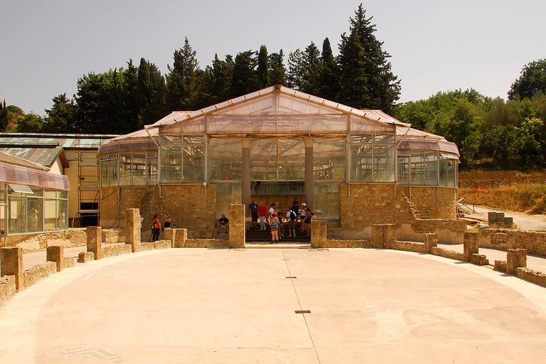 Piazza Armerina: Villa Romana del Casale Guided Tour Shared Italian Tour