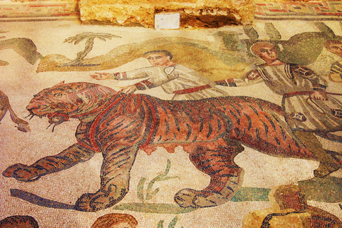 Piazza Armerina: Villa Romana del Casale Guided Tour Shared Italian Tour
