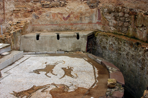 Piazza Armerina: Villa Romana del Casale Guided Tour Shared Italian Tour