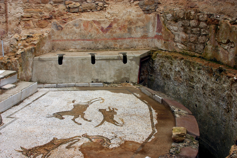 Piazza Armerina: Villa Romana del Casale Guided Tour Shared Italian Tour