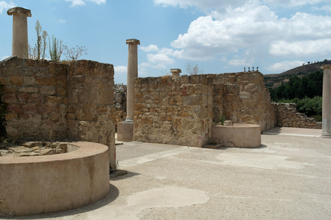 Piazza Armerina: Villa Romana del Casale Guided Tour Shared Italian Tour