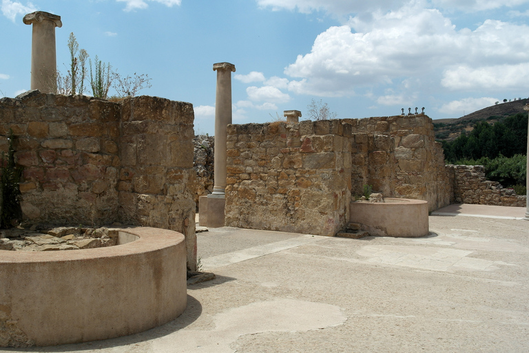 Piazza Armerina: Villa Romana del Casale Guided Tour Shared Italian Tour
