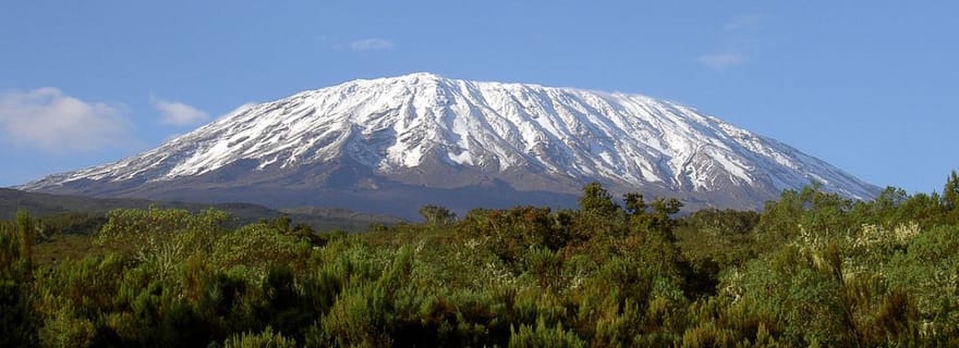 Excursion au parc national du Kilimandjaro