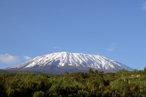 Tagesausflug zum Kilimandscharo-NationalparkAbholung von Arusha