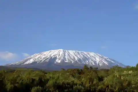 Viagem de um dia ao Parque Nacional do Monte Kilimanjaro