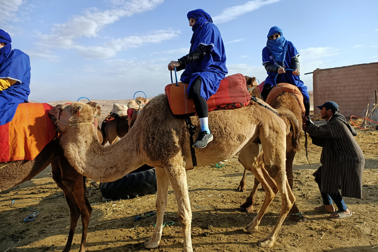 Kameltur i solnedgången i Agafayöknen från Marrakech