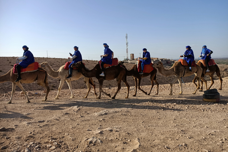 Kameltur i solnedgången i Agafayöknen från Marrakech