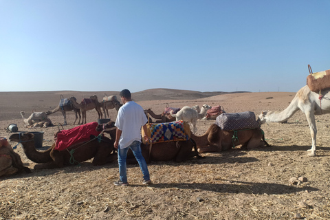 Agafay Desert Camel Ride with Lunch