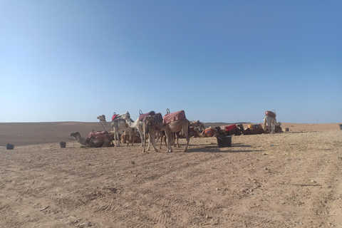 Agafay Desert Camel Ride with Lunch