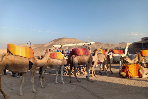 Passeio de camelo no deserto de Agafay com almoço