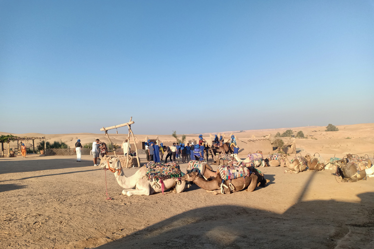 Agafay Desert Camel Ride with Lunch