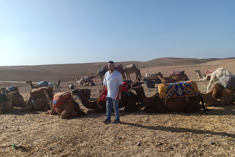 Passeio de camelo no deserto de Agafay com almoço