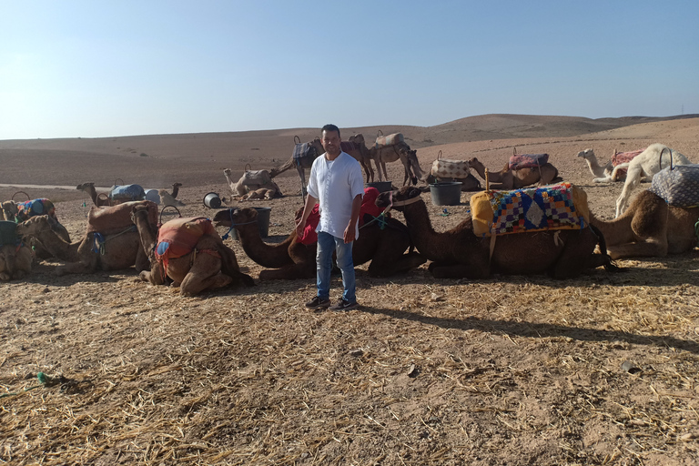 Agafay Desert Camel Ride with Lunch