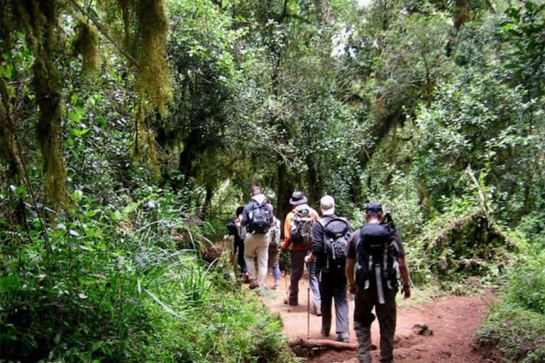 Tagesausflug zum Kilimandscharo-NationalparkAbholung von Moshi