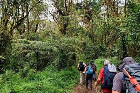Jednodniowa wycieczka do Parku Narodowego KilimandżaroOdbiór z Arushy