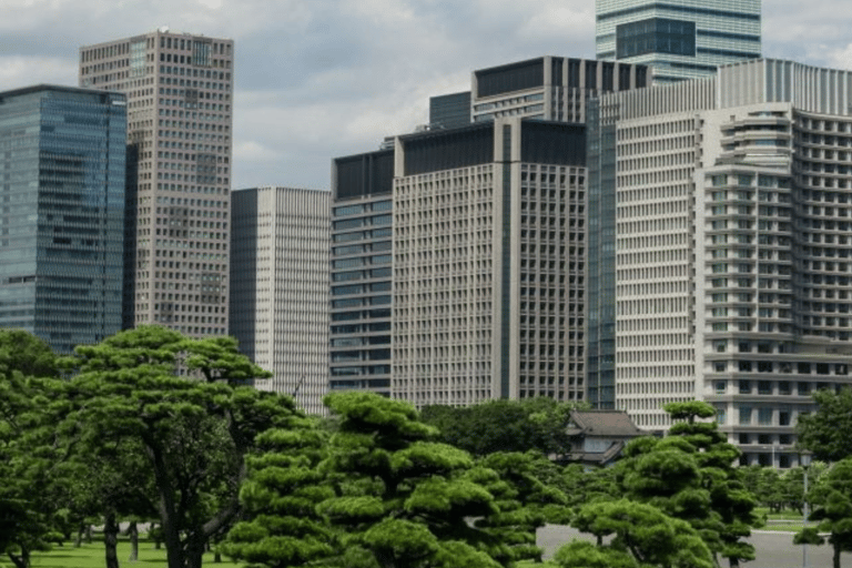 Visite d&#039;une jounée de Tokyo personnalisée et inoubliable 23 Ward