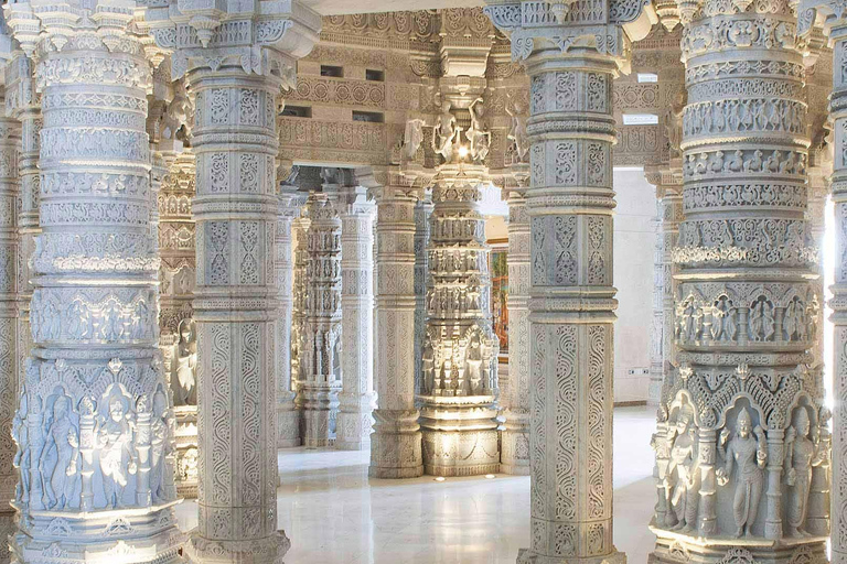 Tour de medio día por los Templos de Delhi con recogida y traslado incluidosTour estándar