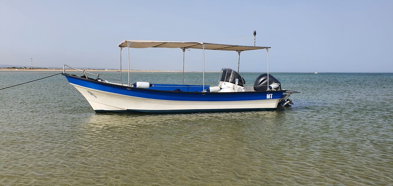 Olhão: 5 Stunden Fahrt mit 3 Stopps an den Stränden und auf der Insel Ria Formosa