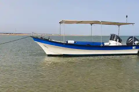 Olhão:5 uur rijden 3 stops op de stranden en eilanden Ria Formosa