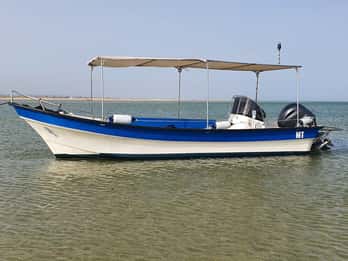 Olhão:5 godzin jazdy 3 przystanki na plażach i wyspach Ria Formosa