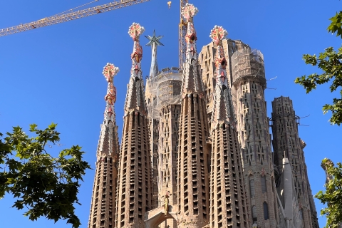 Barcelona: Sagrada Familia-tour met taaloptiesRondleiding in het Koreaans