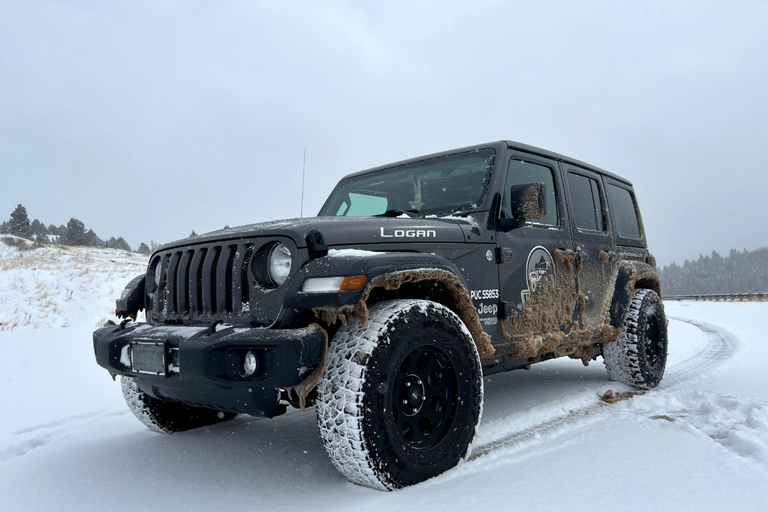 Colorado Springs: Cripple Creek Backcountry Jeep Tour