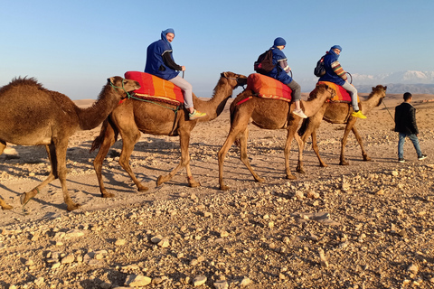 Camel Ride In Agafay Desert