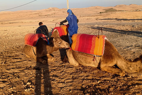 Camel Ride In Agafay Desert